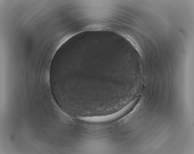 X0000111051465200908061507