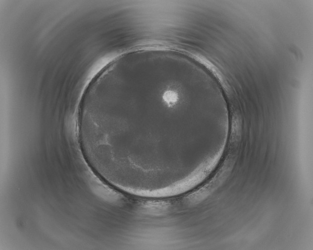 X0000111051466200908061507