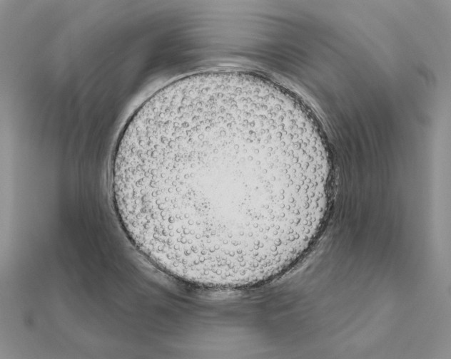 X0000111051467200908061507