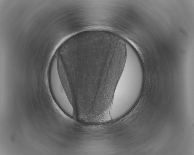 X0000111051468200908061507