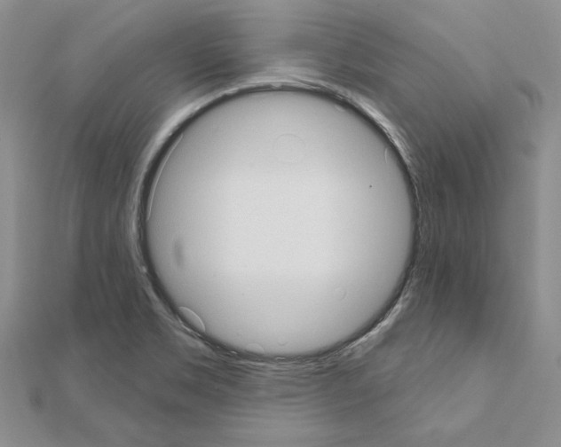 X0000111051469200908061507