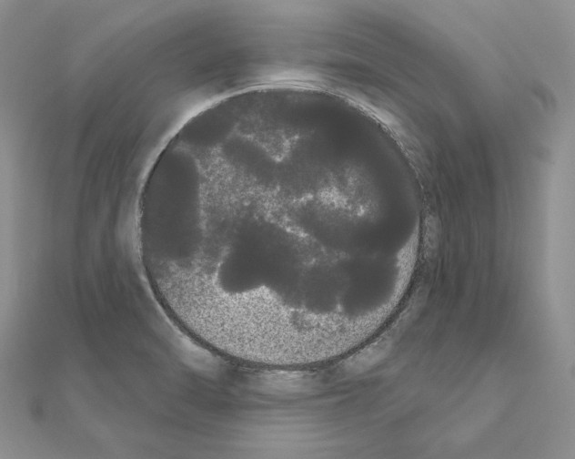 X0000111051470200908061507