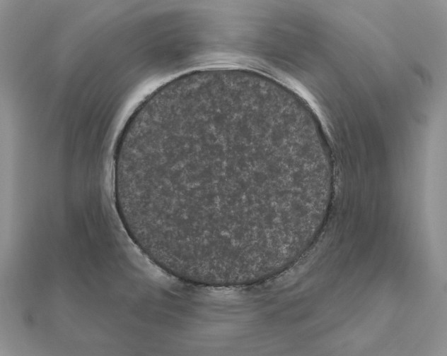 X0000111051472200908061507