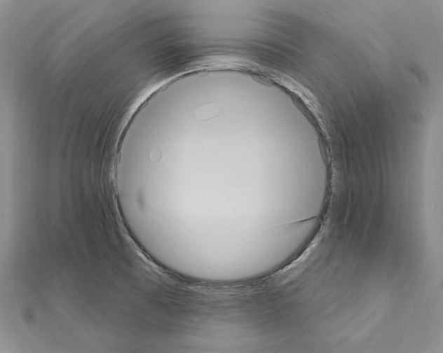 X0000111051473200908061507