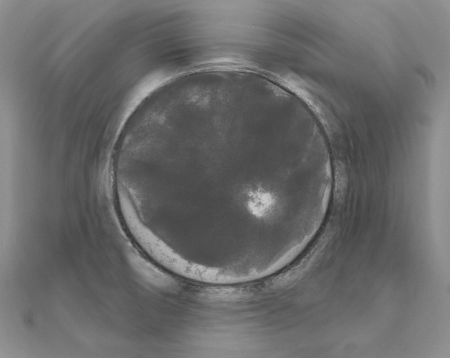 X0000111051474200908061507