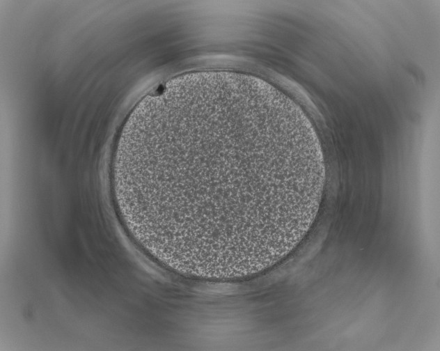 X0000111051475200908061507