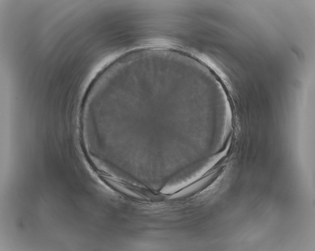 X0000111051477200908061507