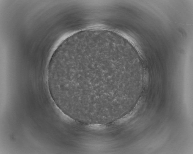 X0000111051478200908061507