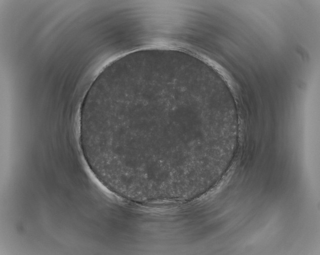 X0000111051479200908061507