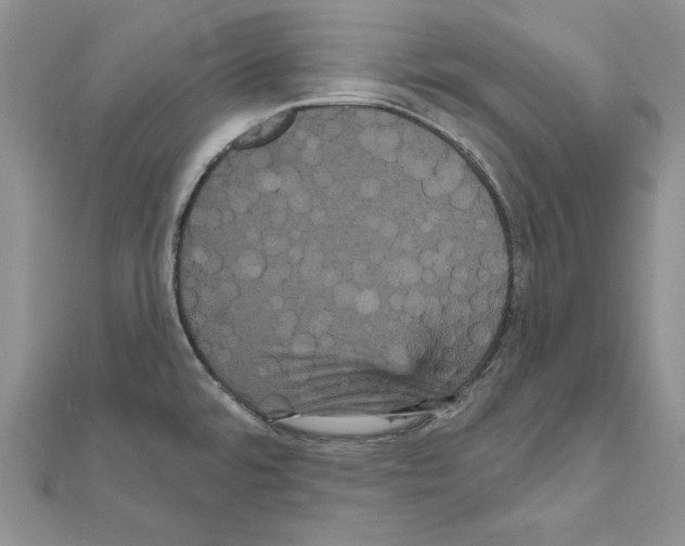 X0000111051480200908061507