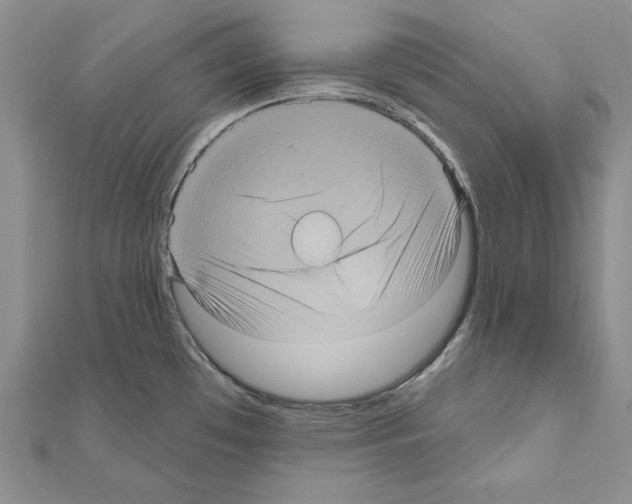 X0000111051481200908061507