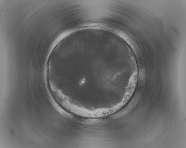 X0000111051482200908061507