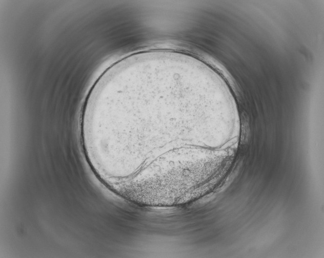 X0000111051483200908061507