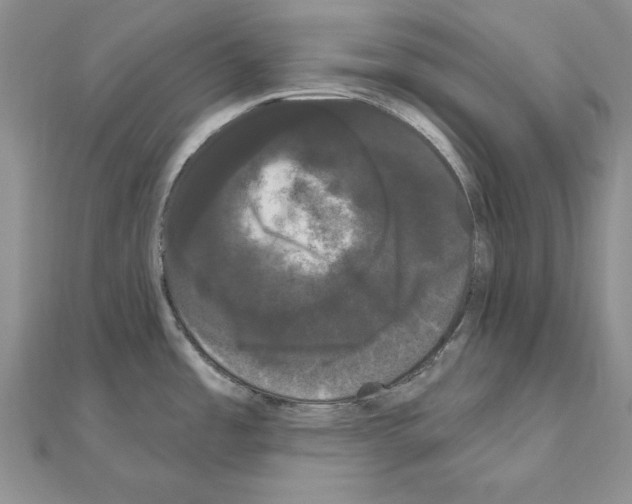 X0000111051485200908061507