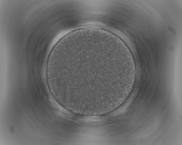 X0000111051486200908061507