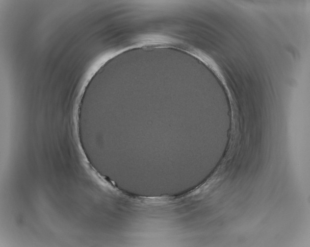 X0000111051488200908061507