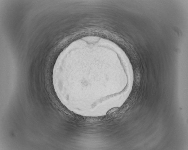 X0000111051489200908061506