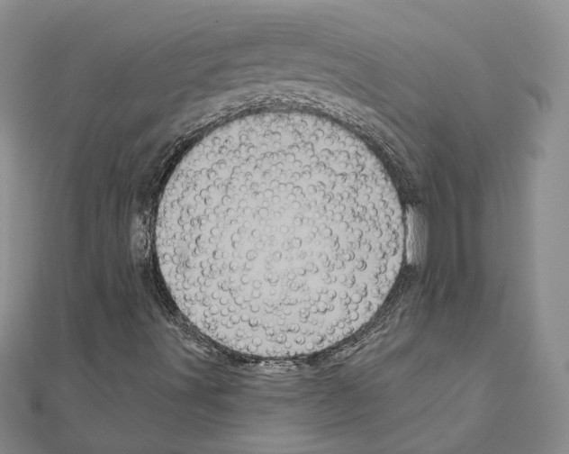 X0000111051491200908061506