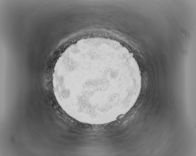 X0000111051494200908061506