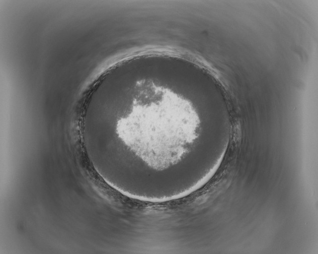 X0000111051496200908061506