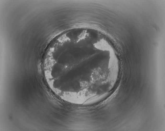 X0000111051497200908061506