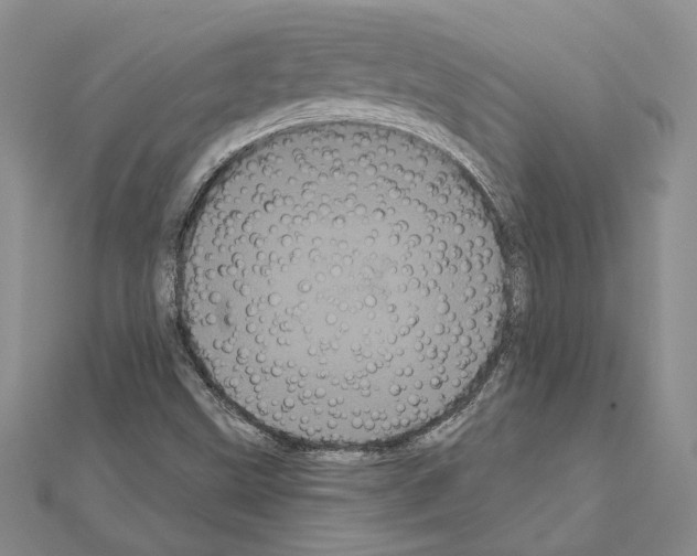 X0000111051499200908061506