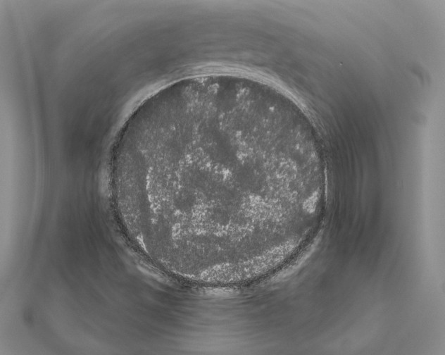 X0000111051501200908061507