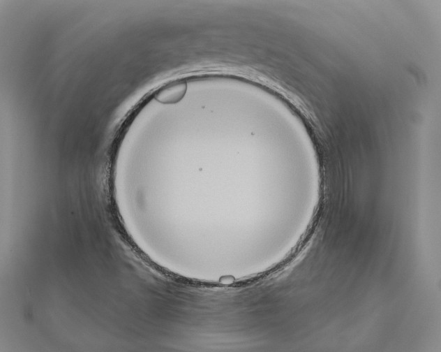 X0000111051502200908061507