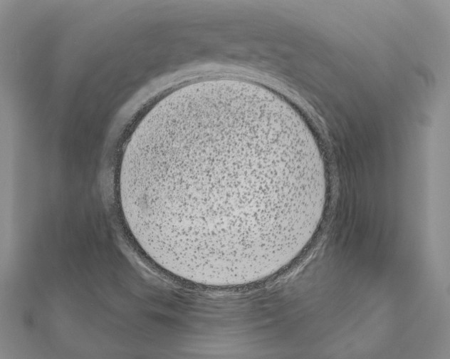 X0000111051503200908061507