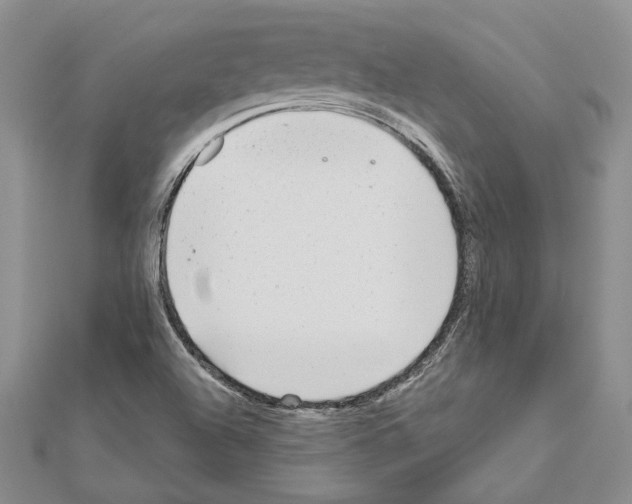 X0000111051504200908061507