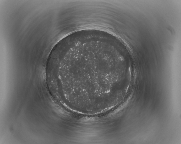 X0000111051505200908061507