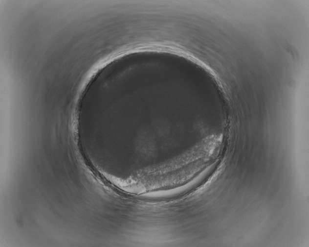 X0000111051506200908061507