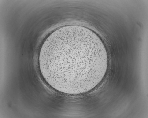 X0000111051507200908061507