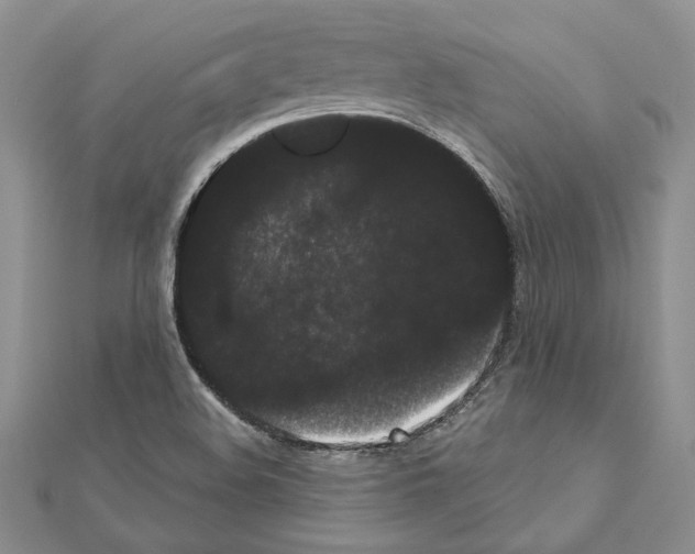 X0000111051508200908061507