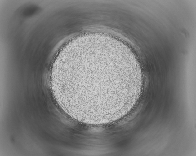 X0000111051509200908061507