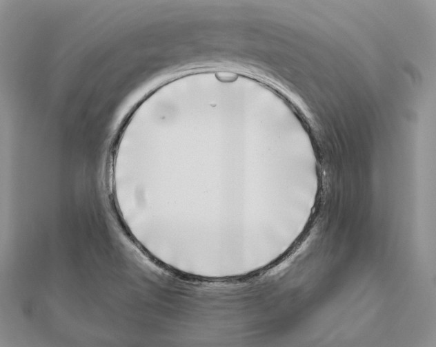 X0000111051510200908061507