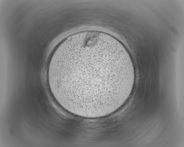 X0000111051511200908061507