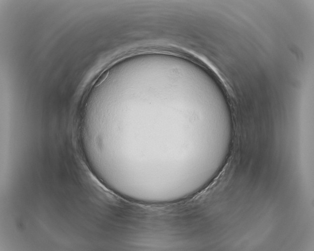 X0000111051512200908061507