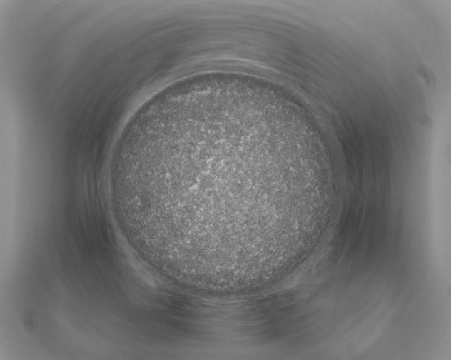 X0000111051514200908061507