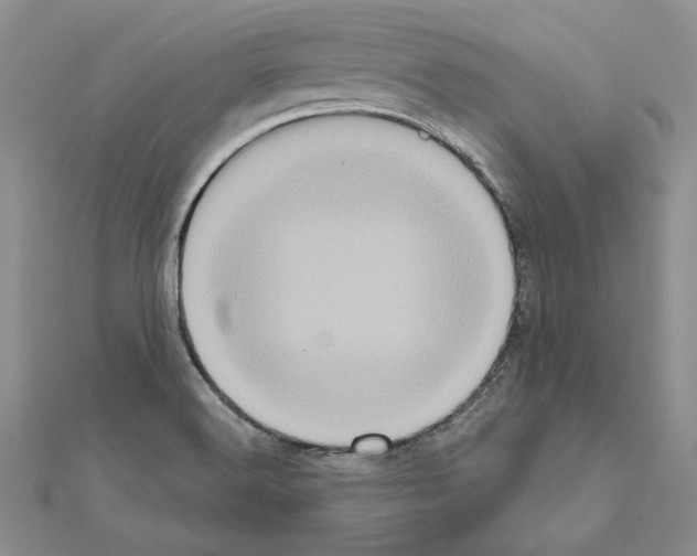 X0000111051516200908061507