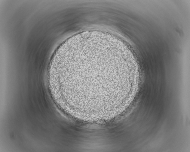 X0000111051517200908061507