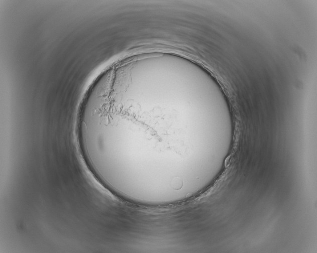 X0000111051518200908061507