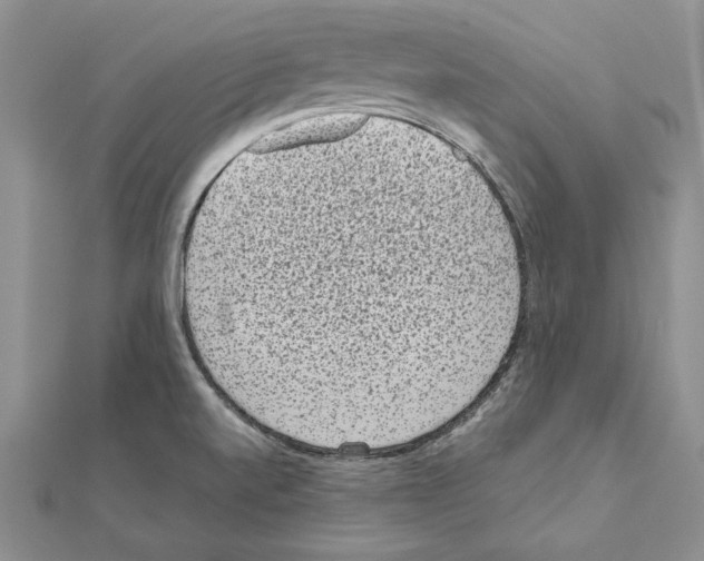 X0000111051520200908061507