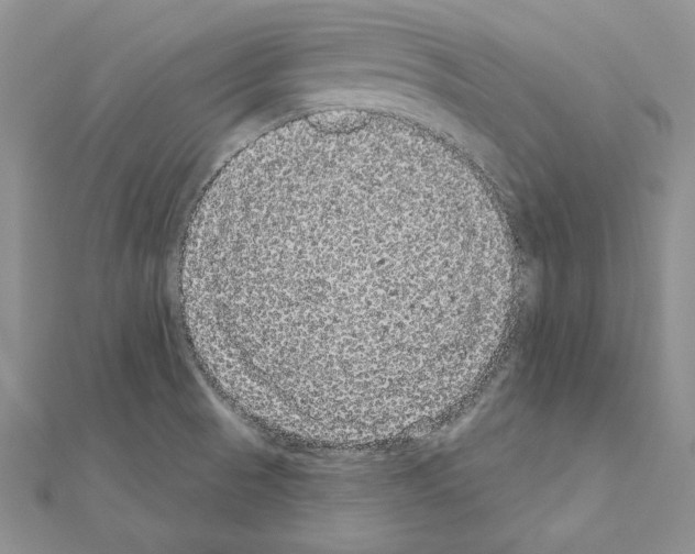 X0000111051521200908061507