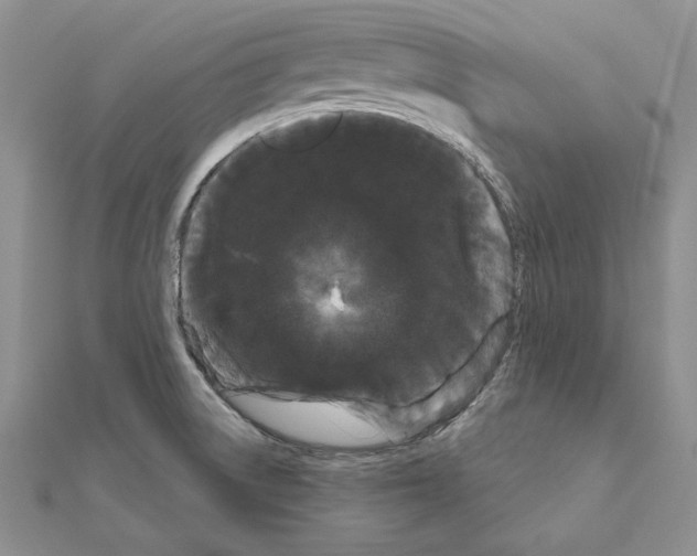 X0000111051522200908061507