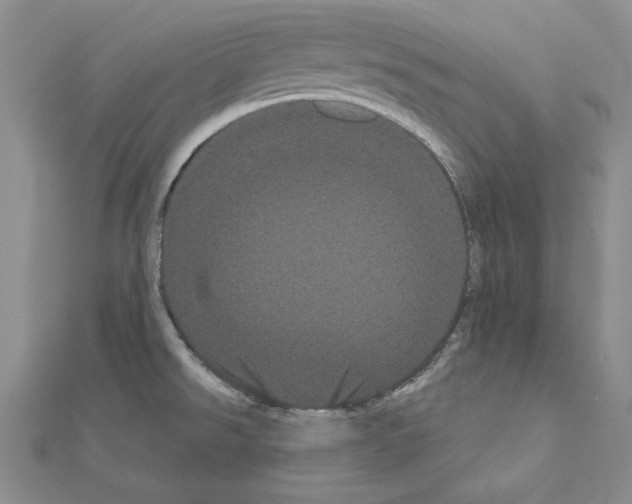 X0000111051526200908061507