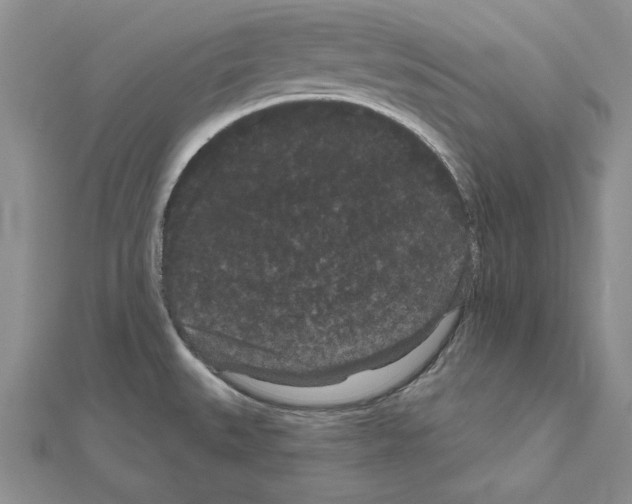 X0000111051527200908061507