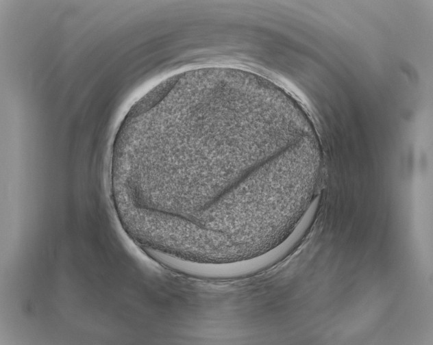 X0000111051528200908061507