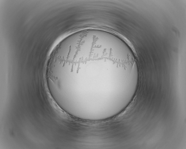 X0000111051530200908061507