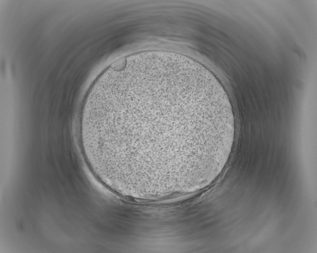 X0000111051531200908061507